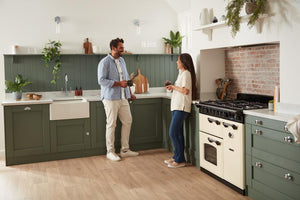 Rangemaster Classic Deluxe 110cm Dual Fuel Range Cooker (Standard) - Pale Cream with Antique Brass Trim | CLDLO110DFPPCR/AB1