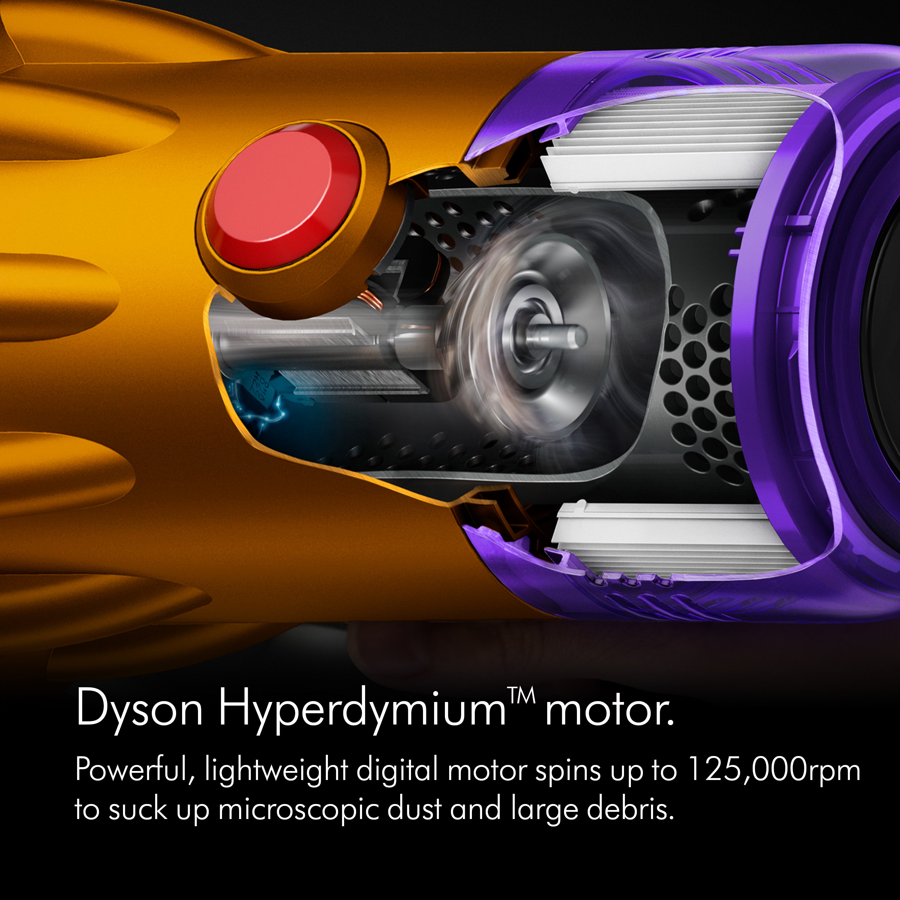 Dyson V12 Slim Absolute Vacuum Cleaner 369542-01
